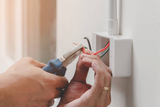 Best Electrical Panel Upgrades  in South Holland, IL